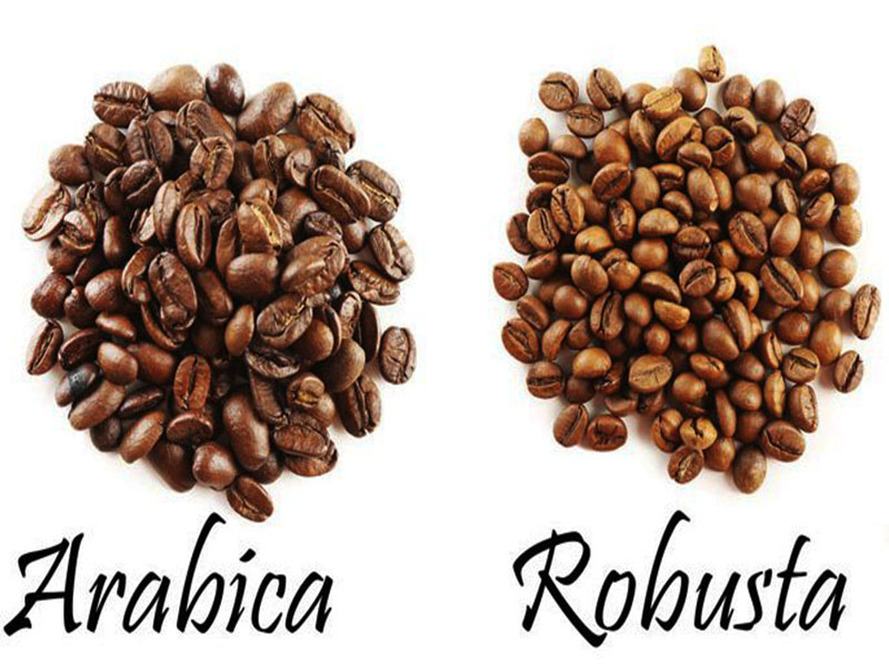 Cùng Classic Coffee thưởng thức hương vị “tình yêu” của cà phê Việt Nam