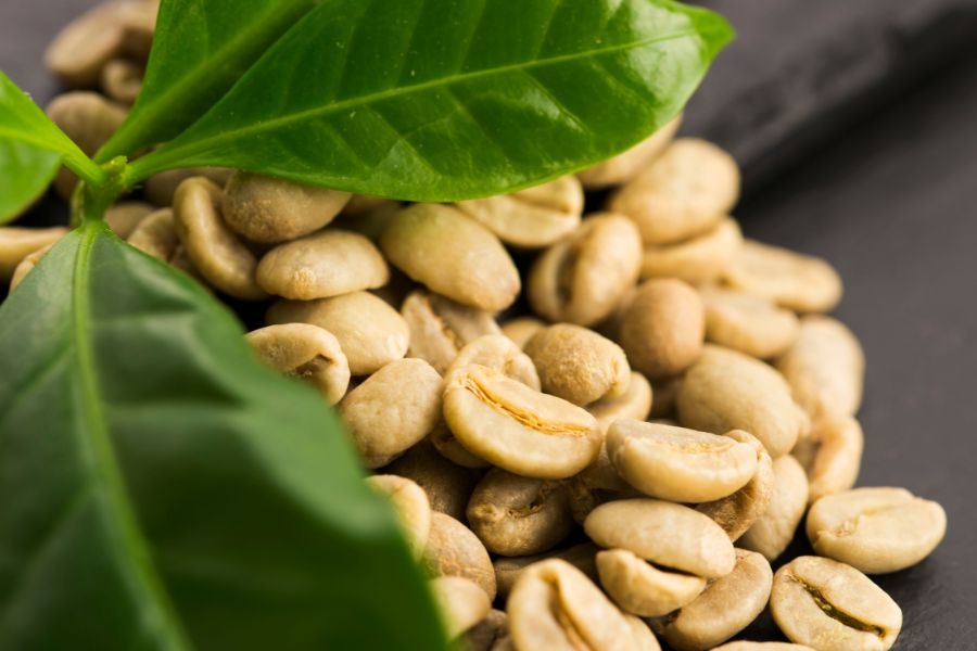 Địa chỉ bán cà phê hạt chưa rang chất lượng, giá rẻ, sản lượng lớn? 