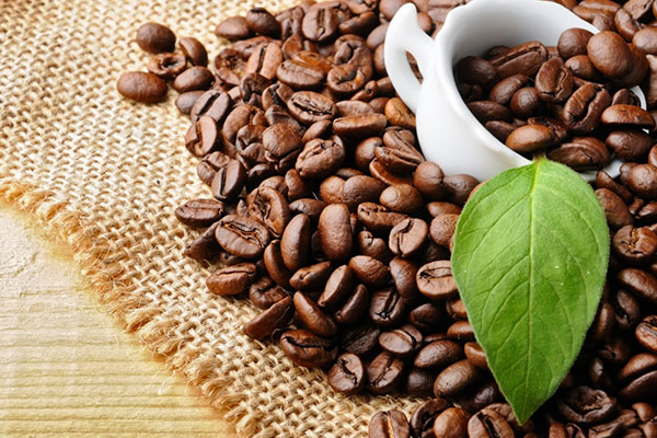 Khám phá những vùng đất 