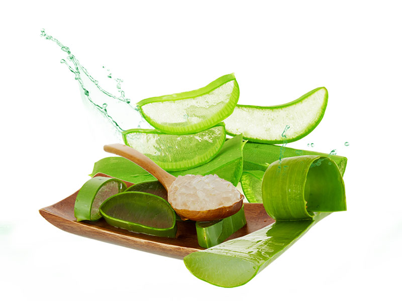 Nước Ép Nha Đam – Những lợi ích tuyệt vời cho sắc đẹp của chị em phụ nữ